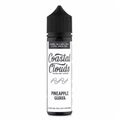 Coastal Clouds Pineapple Guava 60mL Tropical Pre-Steeped